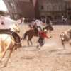 Circle Cheyenne Frontier Days Giveaway 