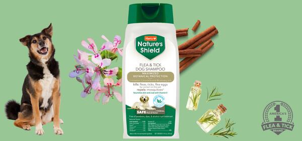 Free Nature's Shield Flea & Tick Dog Shampoo by Hartz!