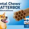 Blue Buffalo Dental Chews Chatterbox Kit for Free