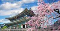 Your Korean Adventure Awaits – Enter the “All You Imagine” Sweepstakes