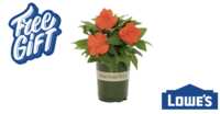 Celebrate Spring with FREE Flowers from Lowe’s!