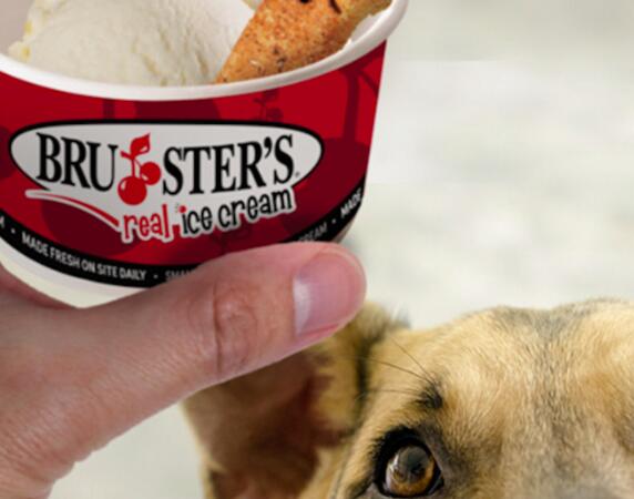 Doggie Sundaes for FREE at Bruster’s