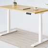 Flexispot Pro Plus Standing Desk E7 Giveaway