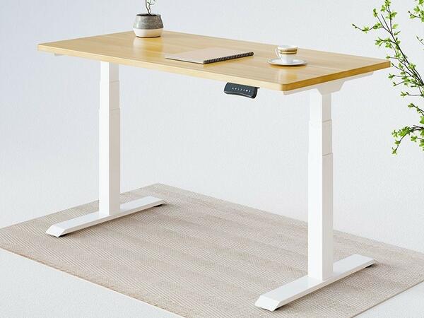 Flexispot Pro Plus Standing Desk E7 Giveaway