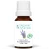 A Scent of Calm—Get FREE Lavender Essential Oil with FREE Shipping!