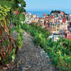   Sweepstake: Win a food tour in Italy worth $10,000.