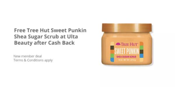 Pumpkin Spice & Everything Nice – FREE Tree Hut Scrub!