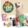 Win a Tail-Wagging Year of BARK Goodies!