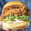 Don’t Miss This! FREE Chicken Shack at Shake Shack