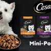 Cesar Mini-Pouches Sample – FREE for Your Furry Friend!