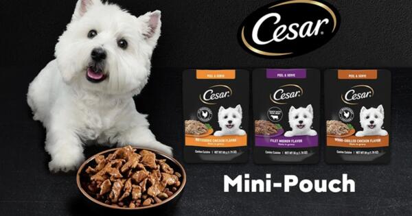 Cesar Mini-Pouches Sample – FREE for Your Furry Friend!