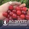 Enjoy Beautiful Photography with a FREE Illinois State Treasurer Calendar