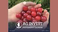 Enjoy Beautiful Photography with a FREE Illinois State Treasurer Calendar