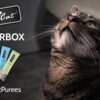 Feline Approved: Free Fussie Cat Purées Chatterbox Kit!