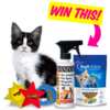 Modern Cat Banixx Giveaway! Enter now!
