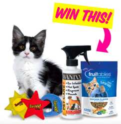 Modern Cat Banixx Giveaway! Enter now!
