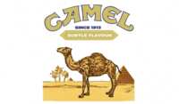 Dash to the Finish – Camel Derby Prizes Await!