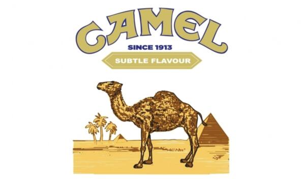 Dash to the Finish – Camel Derby Prizes Await!