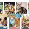 Be Part of Operation Odor-Free – FREE BOS Samples Inside!