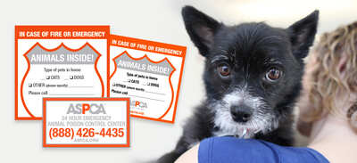 Free Safety Pack by ASPCA