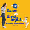 Free Dog Adoption with Pedigree Adoption Drive on June 7th - 9th!