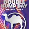 Participate and win: Camel Double Hump Day 