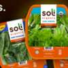 Package of Soli Organic Salad for Free After Rebate