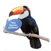 Explore Wildlife in Class with Free ZooZingo Cards
