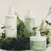Glow with Confidence: Free Sample of Stella McCartney Beauty Alter-Care Serum!