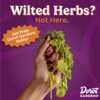 Your Secret Ingredient Awaits – Free Dorot Gardens Pack!