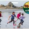 Free National Park Pass for 4th Graders & Their Families!