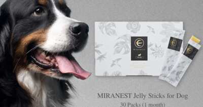 Happy & Healthy Pup – Try MIRANEST Jelly Sticks FREE for a Month