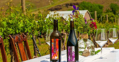 SWEEPSTAKE: Win a Wine Adventure for 2  with Oregon wine