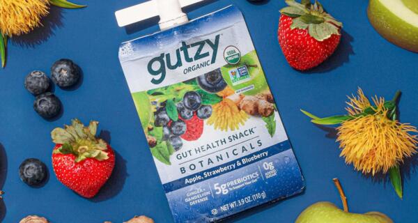 Get Your Free Gutzy Organic Fruit Snack Pouch After Rebate!