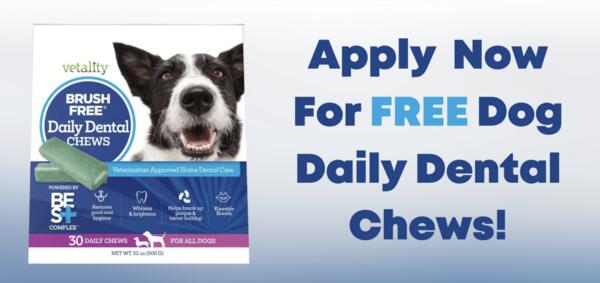Healthy Teeth, Happy Dog – Claim Free Daily Dental Chews