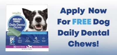 Healthy Teeth, Happy Dog – Claim Free Daily Dental Chews