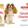 Royal Canin Cavalier King Charles Chatterbox Kit for FREE!