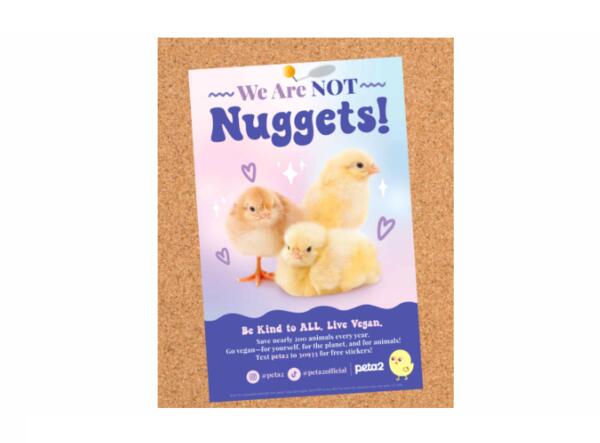 We Are Not Nuggets Poster & Stickers for FREE!