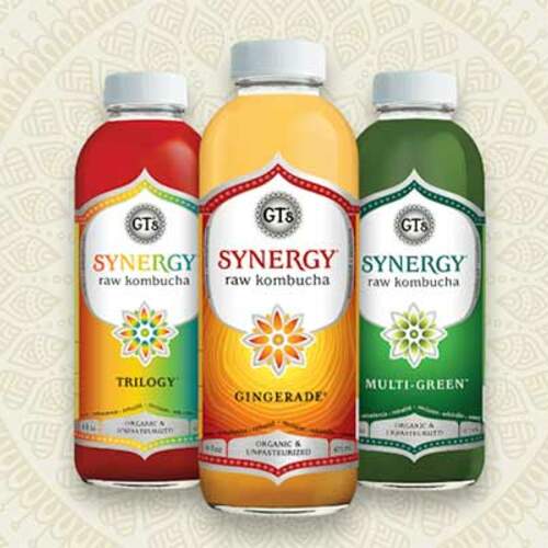 Receive a Free Sample of GT's Kombucha - SIgn Up for Newsletter