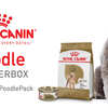 Free Poodle Chatterbox Kit by Royal Canin 