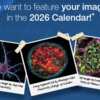 Thermo Fisher Scientific Presents: Your Free 2026 Gibco Calendar