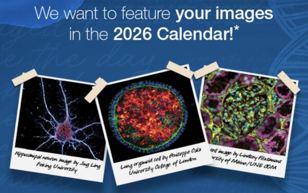 Thermo Fisher Scientific Presents: Your Free 2026 Gibco Calendar