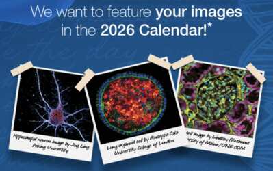 Thermo Fisher Scientific Presents: Your Free 2026 Gibco Calendar