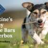 Puppy Love Alert! FREE Blue Buffalo Be Mine Bars Kit!