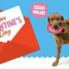 A Tail-Wagging Giveaway! Win $200 in Dog Toys & Treats