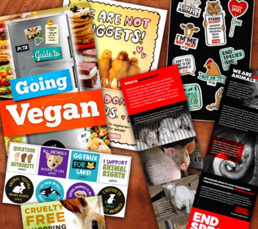 Anti-Speciesism Starter Pack from PETA for Free