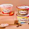 Haagen-Dazs Yogurt for Free After Rebate