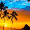 Say Aloha to Paradise: Win a Trip to Hawaii from Warners!