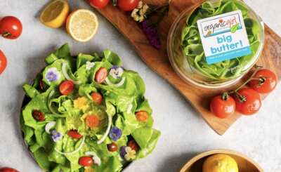 Free OrganicGirl Big Butter Lettuce After Cash Back!