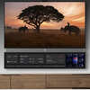 Free 55 Inch Dual Screen Smart TV from Telly!